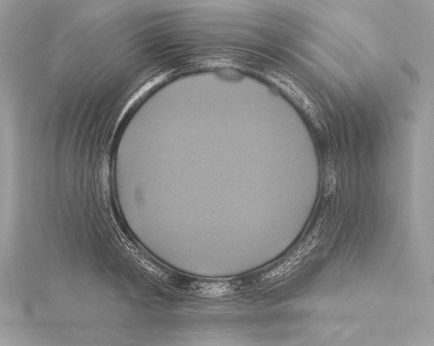 X0000115330798200911301526