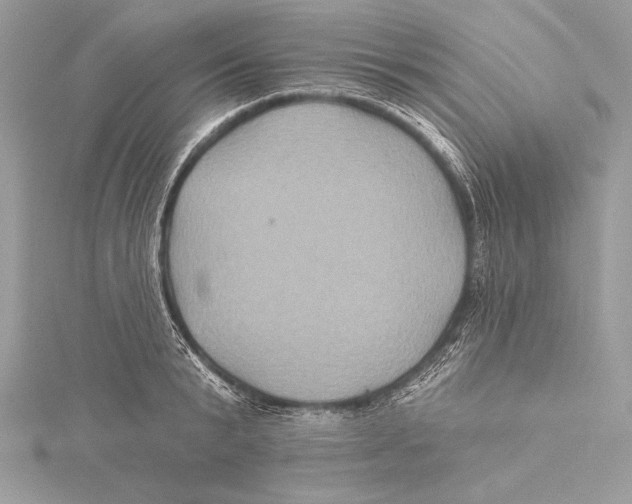 X0000115330799200911301526