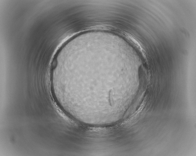 X0000115330800200911301526