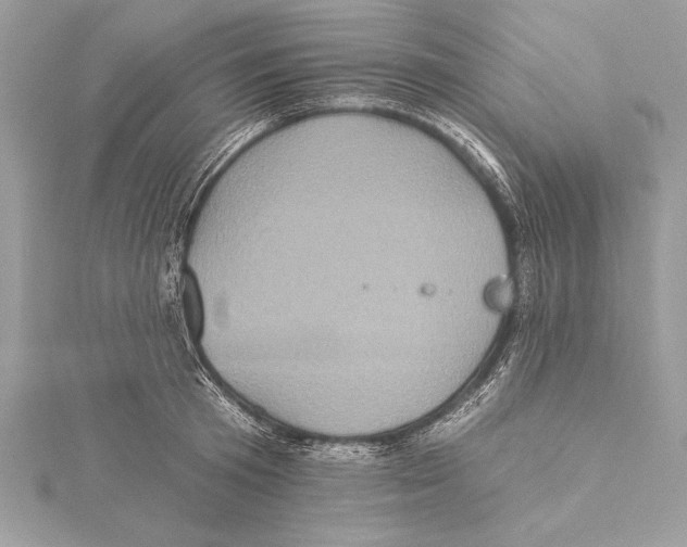 X0000115330801200911301526