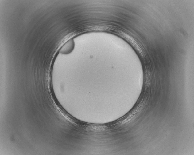 X0000115330802200911301526