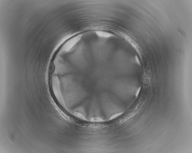 X0000115330803200911301526