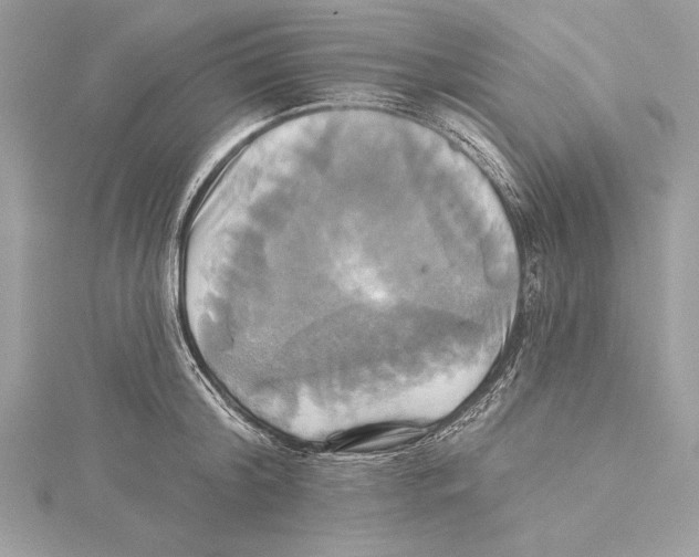 X0000115330804200911301526