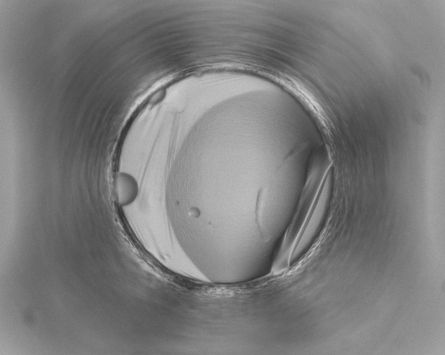 X0000115330806200911301526