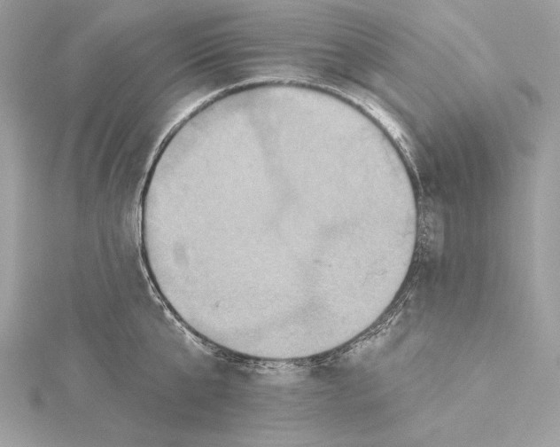 X0000115330807200911301526