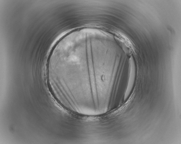 X0000115330808200911301526