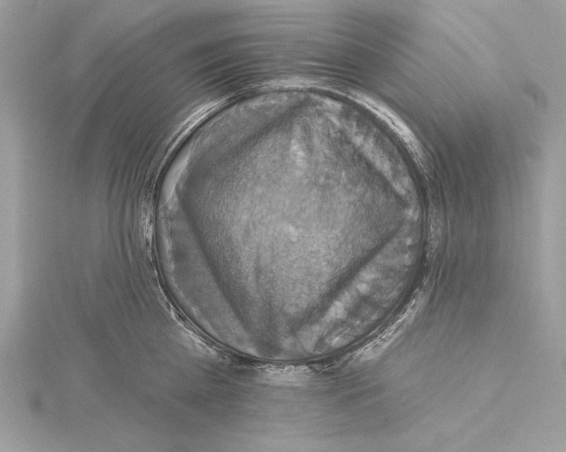 X0000115330809200911301526