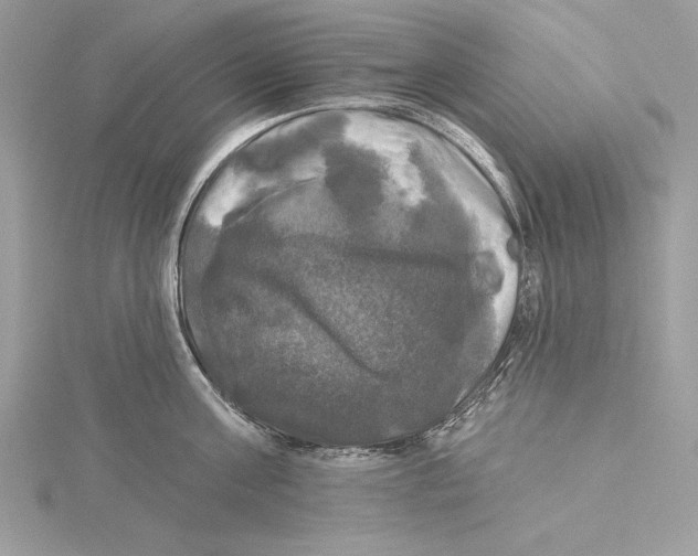 X0000115330811200911301526