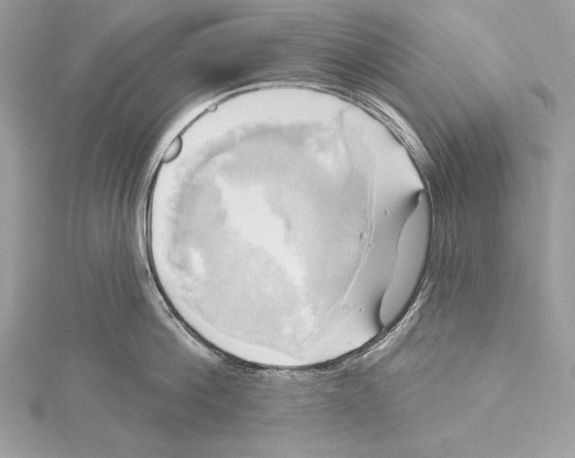 X0000115330812200911301526