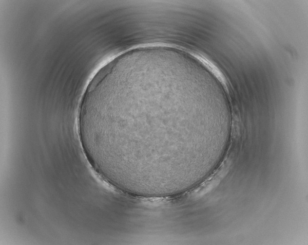 X0000115330813200911301526