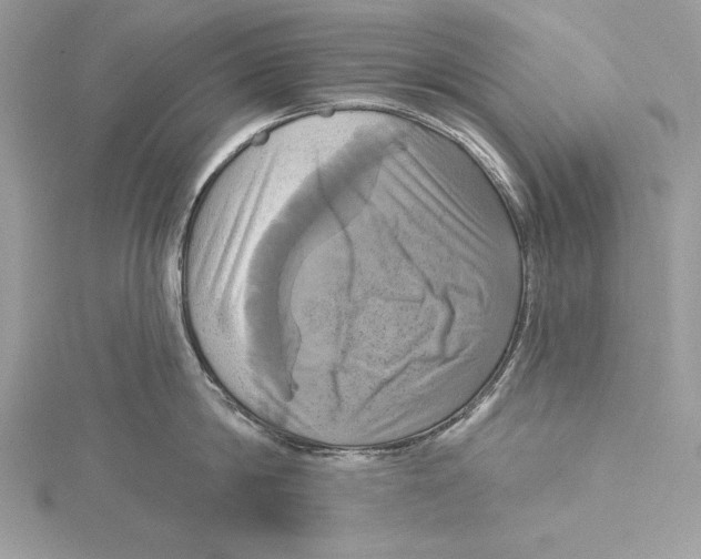 X0000115330814200911301526