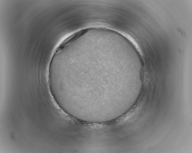 X0000115330815200911301526