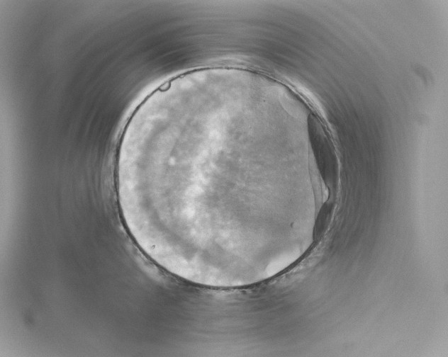 X0000115330816200911301526