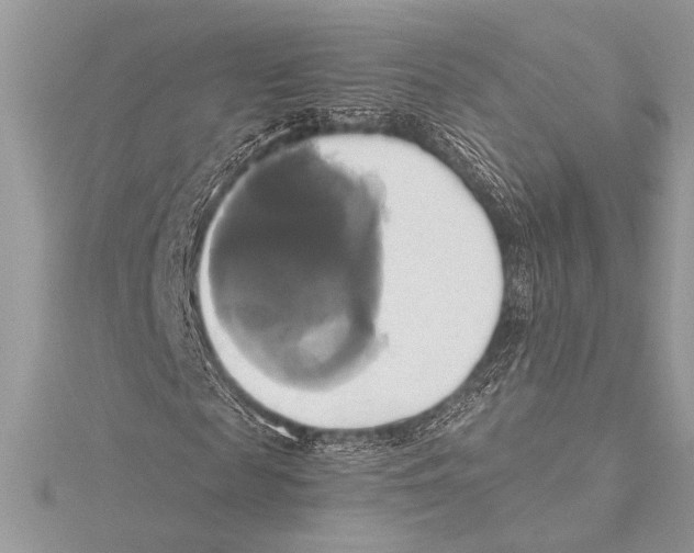 X0000115330817200911301525