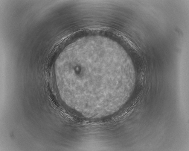 X0000115330821200911301525