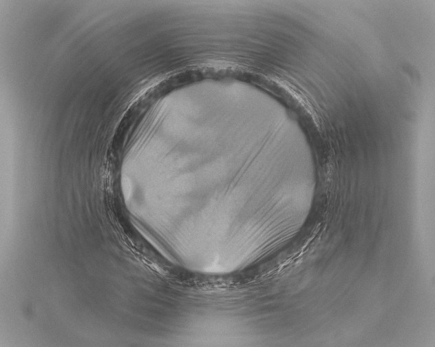 X0000115330823200911301525