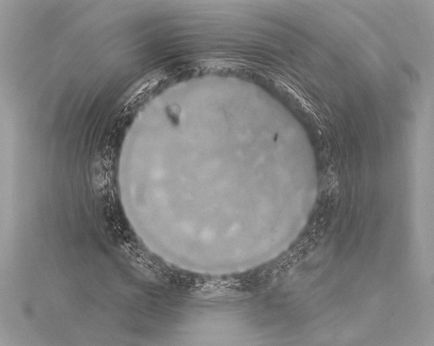 X0000115330824200911301525