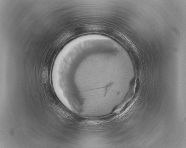 X0000115330825200911301525