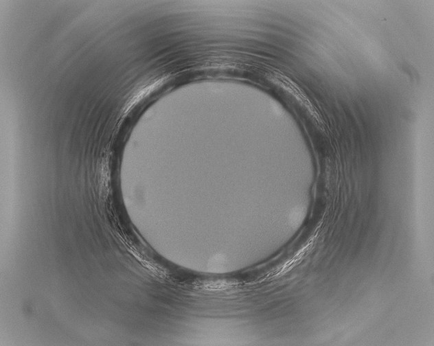 X0000115330826200911301525