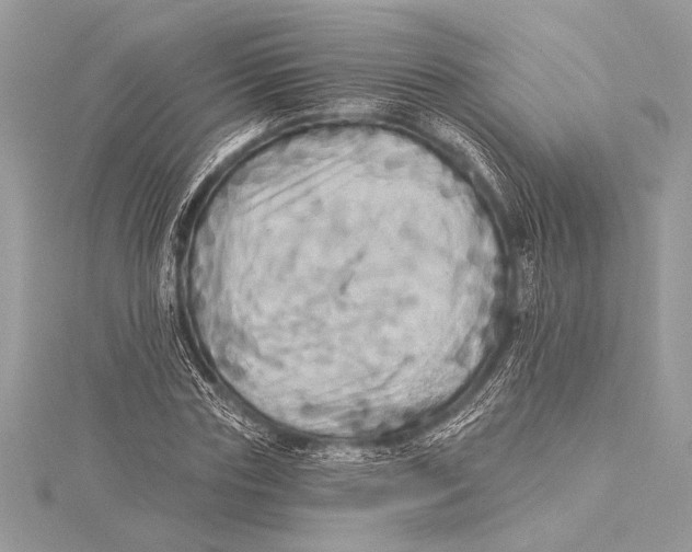 X0000115330827200911301526