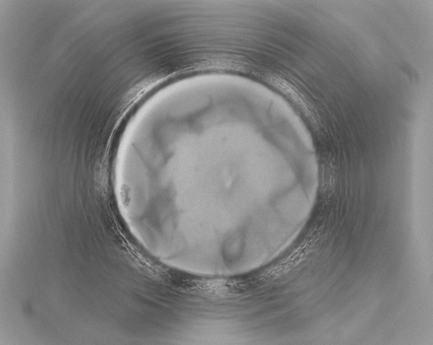 X0000115330828200911301526