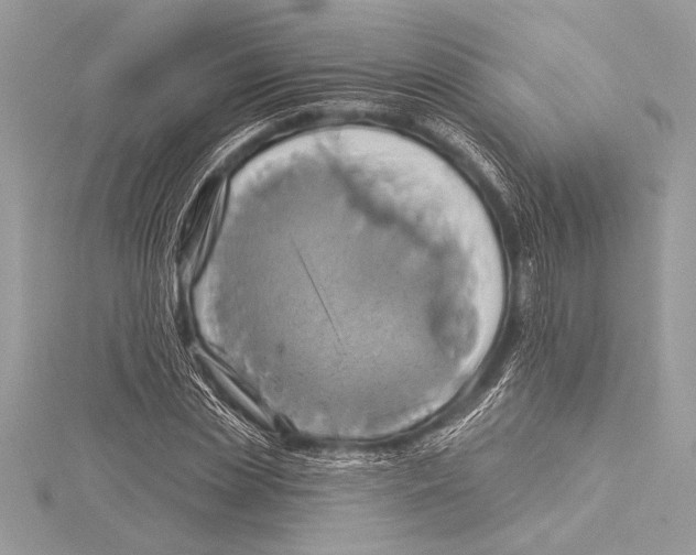 X0000115330829200911301526