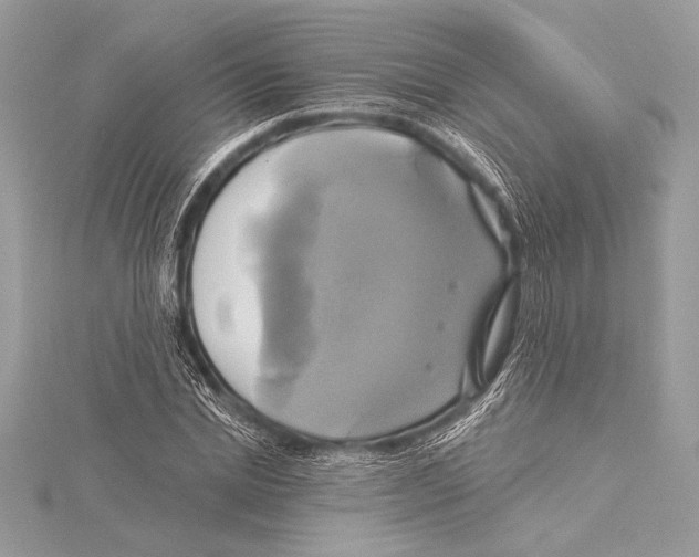 X0000115330830200911301526