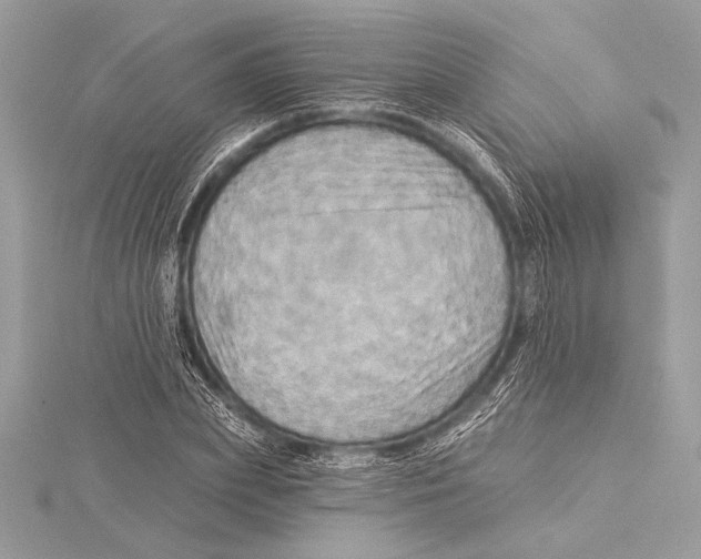 X0000115330831200911301526