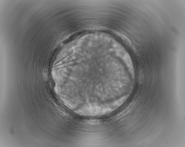 X0000115330833200911301526