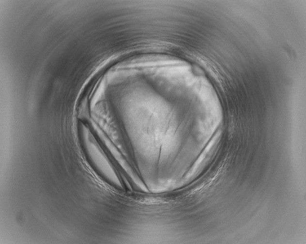 X0000115330835200911301526