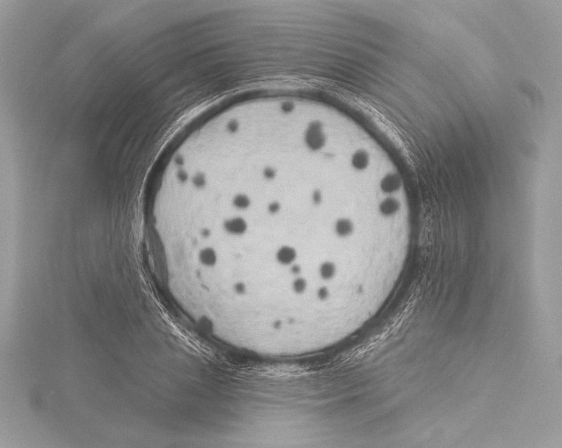 X0000115330837200911301526