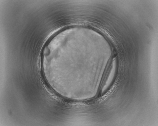 X0000115330838200911301526