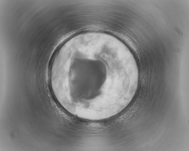 X0000115330839200911301526