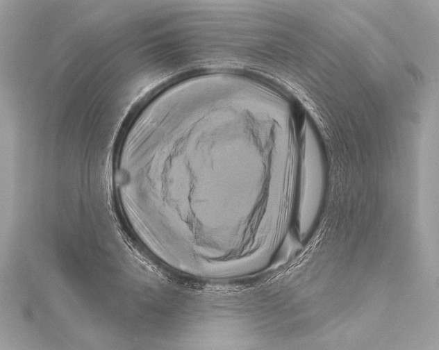 X0000115330840200911301526