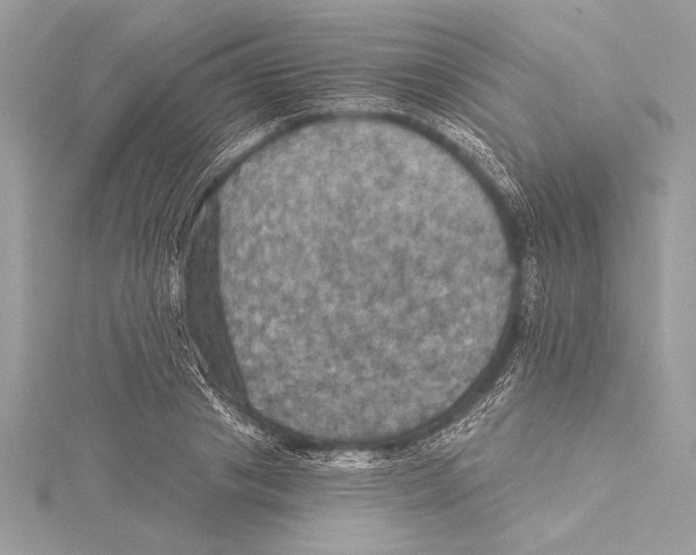 X0000115330841200911301526