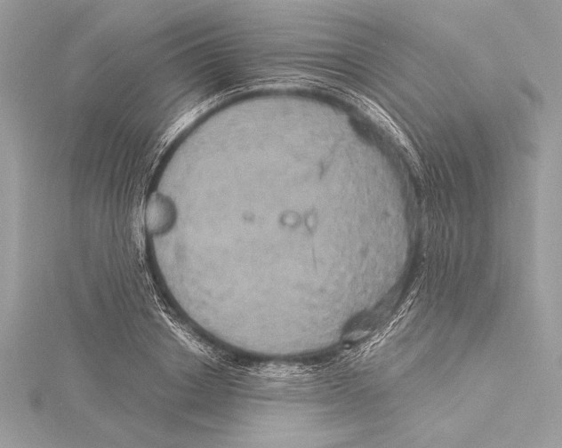 X0000115330842200911301526