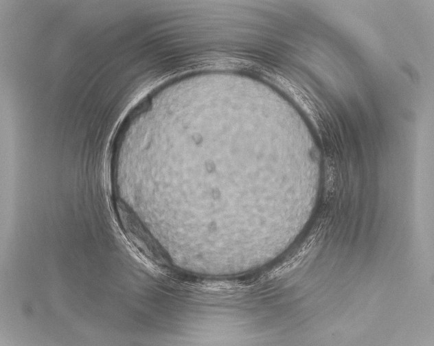 X0000115330843200911301526