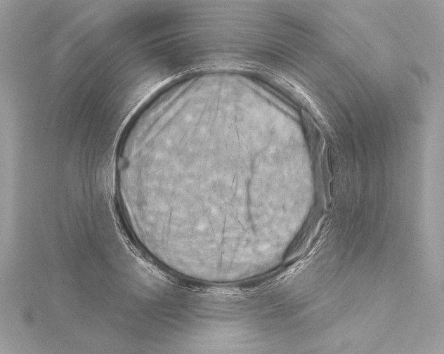 X0000115330844200911301526