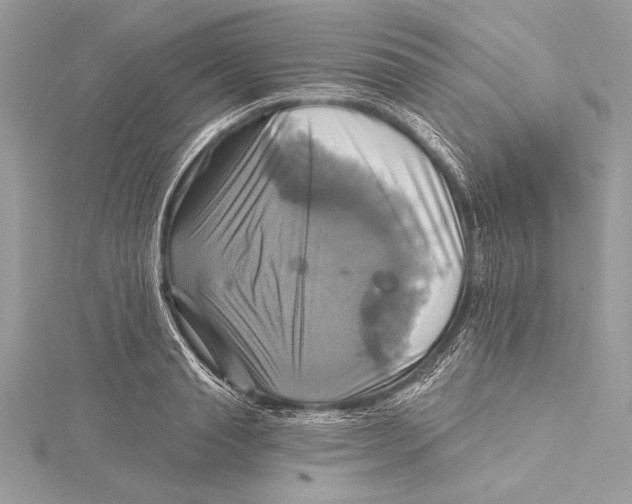 X0000115330845200911301526