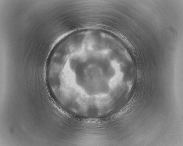 X0000115330846200911301526