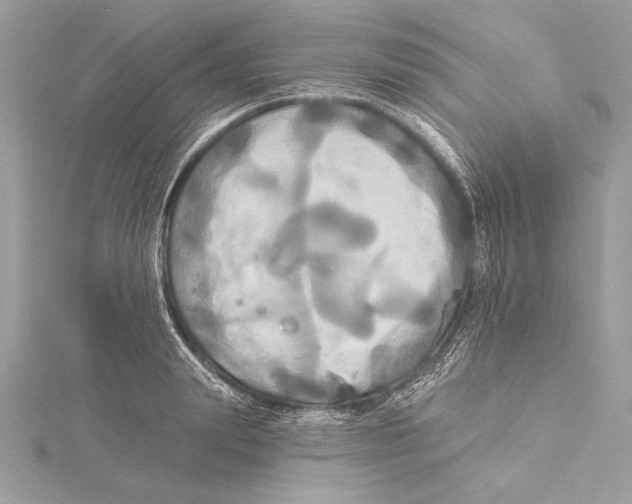 X0000115330847200911301526