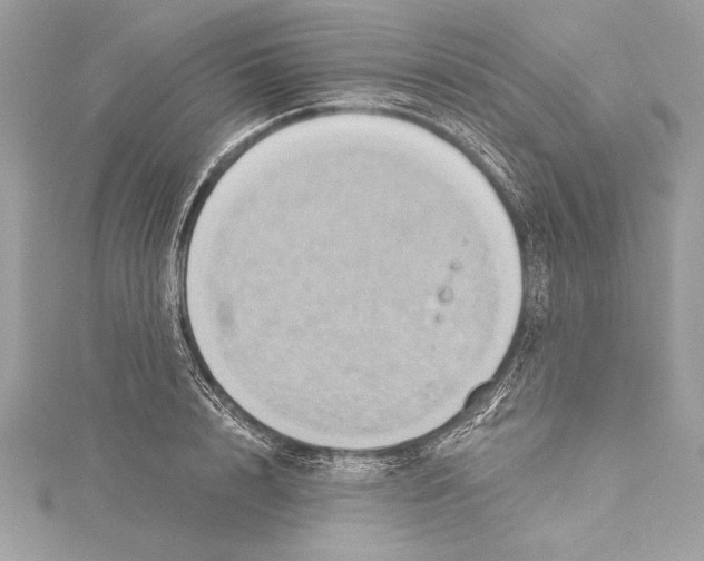 X0000115330848200911301526