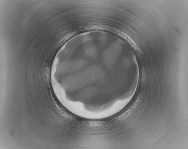 X0000115330849200911301526