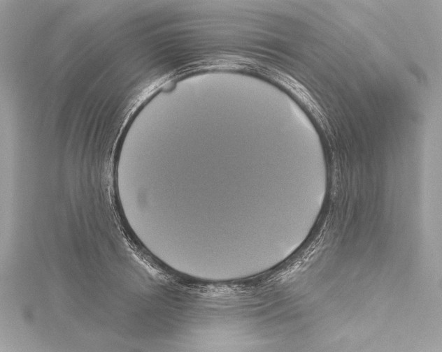 X0000115330850200911301526