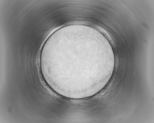 X0000115330852200911301526