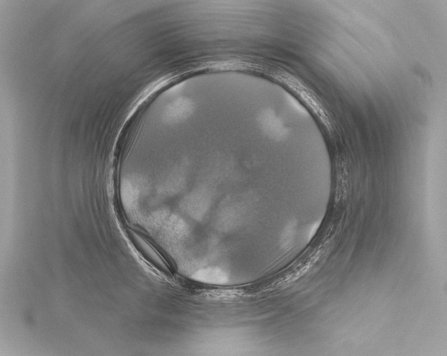 X0000115330853200911301526