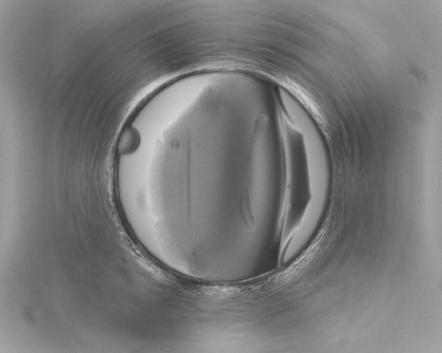 X0000115330854200911301526