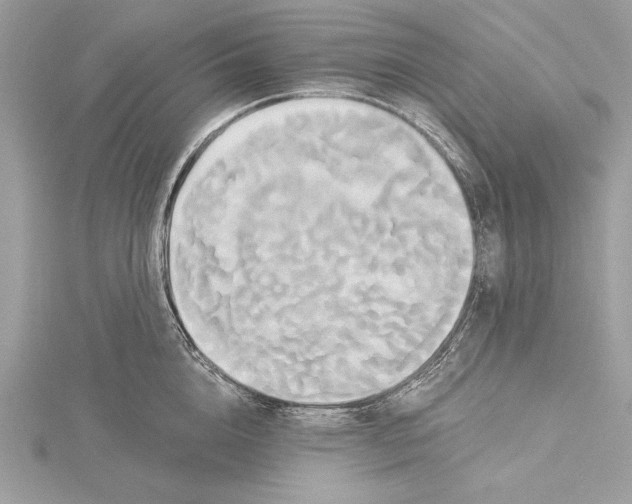 X0000115330856200911301526