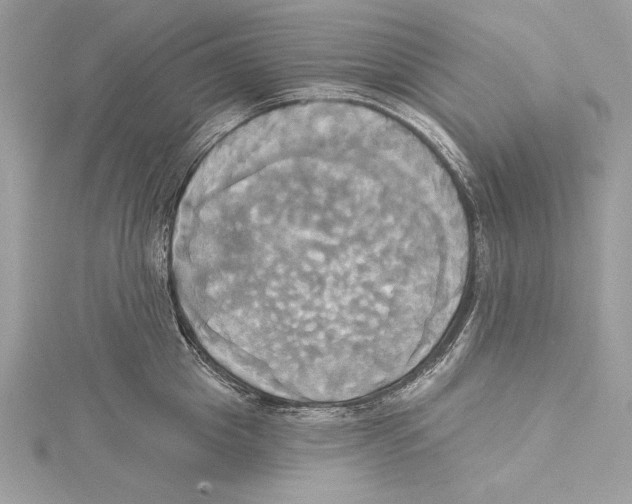 X0000115330857200911301526