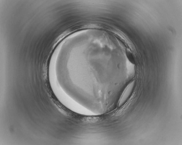 X0000115330858200911301526